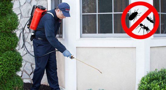 Yıkıkkemer Böcek İlaçlama böcek ilaçlama ve haşere kontrolü — ilaclama-tr.com
